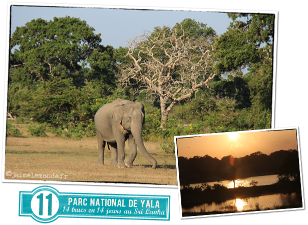11 - Parc national de Yala