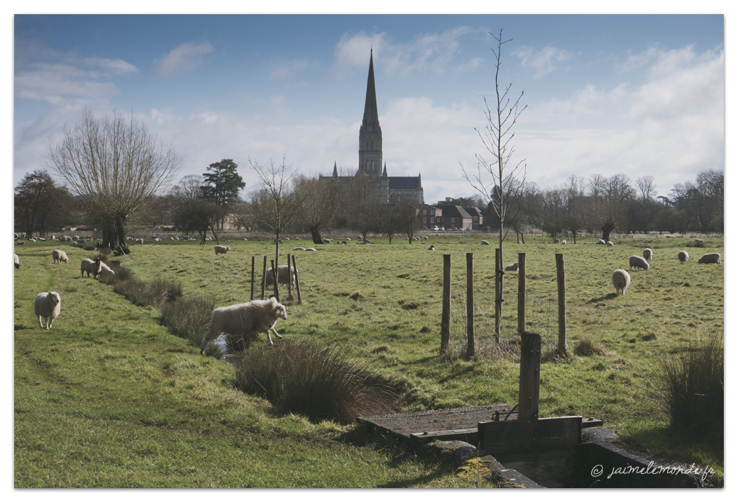 Stonehenge et Salisbury #AllYouNeedIsGreat (5)