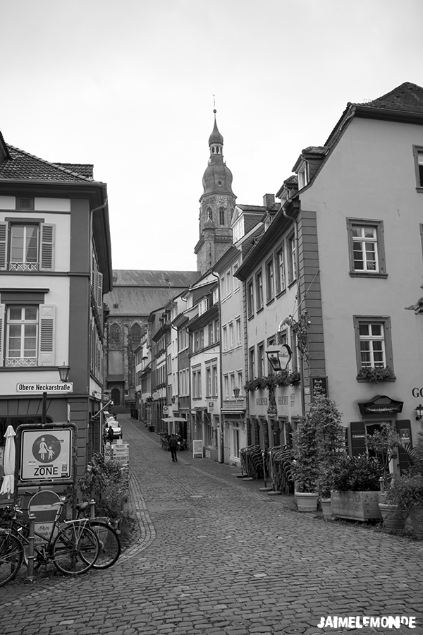 Allemagne - Bade Wurtemberg - Heidelberg - ©jaimelemonde (12)