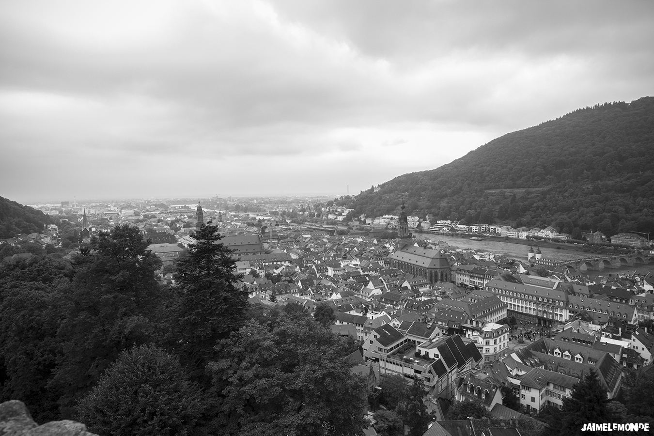 Allemagne - Bade Wurtemberg - Heidelberg - ©jaimelemonde (5)