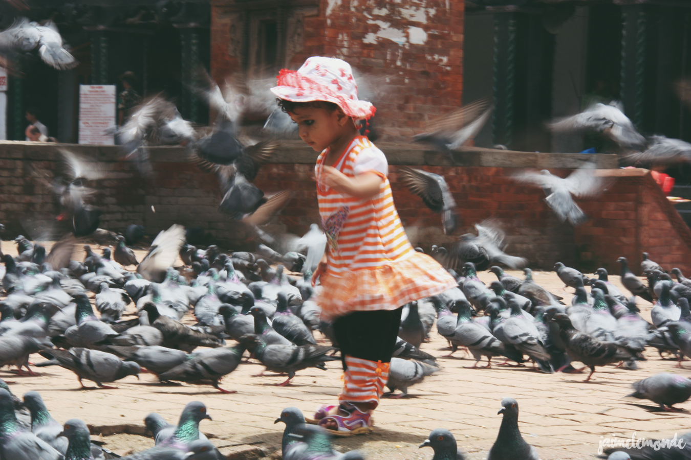 Blog voyage - 50 photos au Népal - ©jaimelemonde (2)