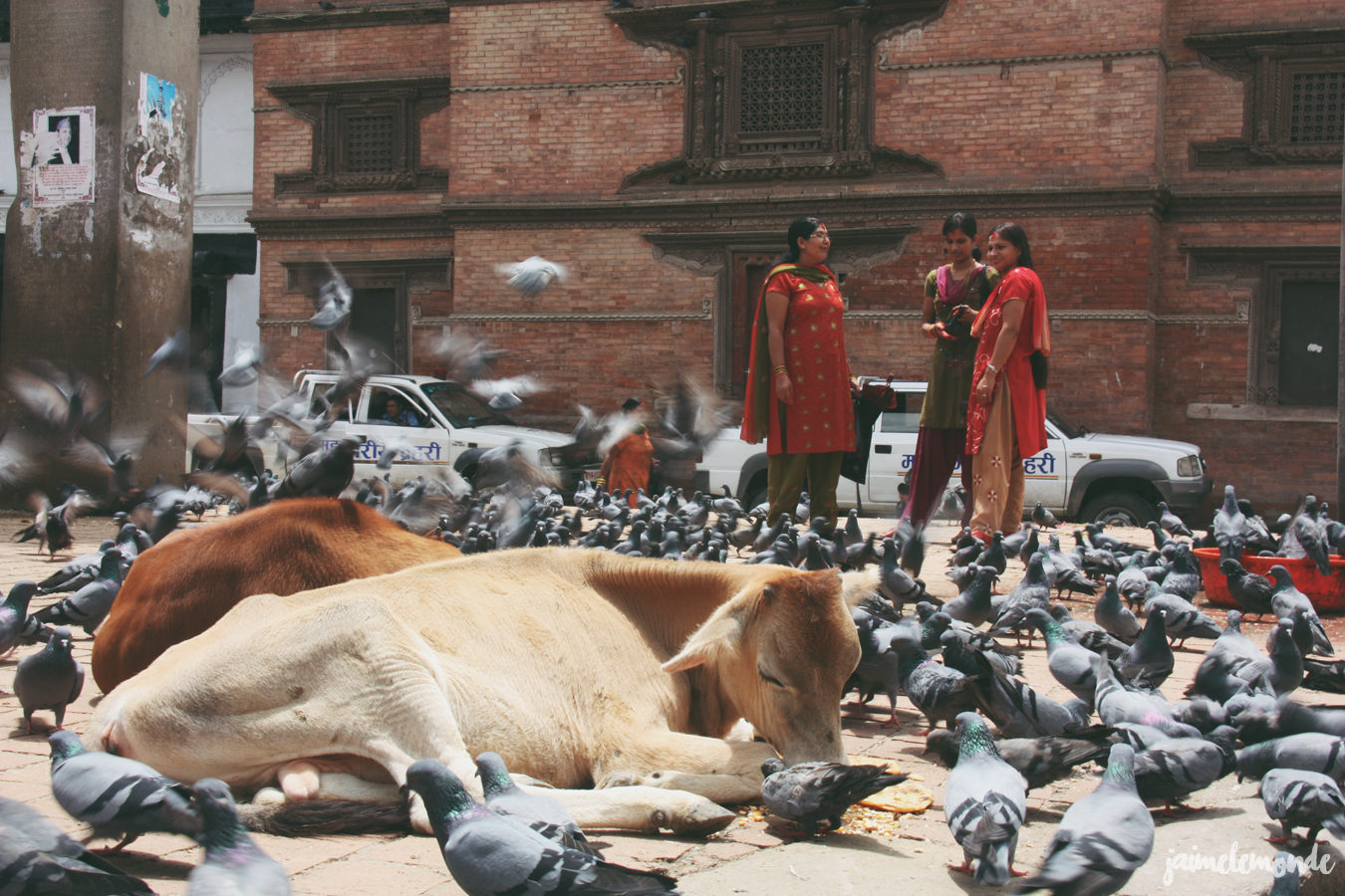 Blog voyage - 50 photos au Népal - ©jaimelemonde (3)