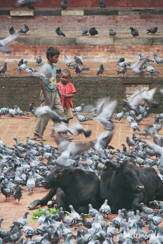Blog voyage - 50 photos au Népal - ©jaimelemonde (47)