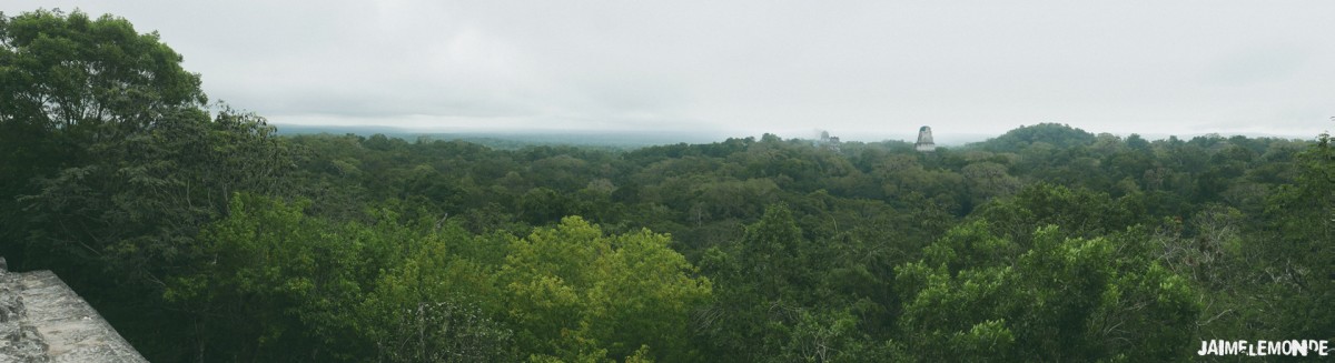 Le fameux Panorama de Tikal - Guatemala - ©jaimelemonde