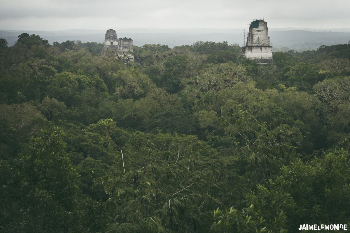 Le fameux Panorama de Tikal - Guatemala - ©jaimelemonde (2)