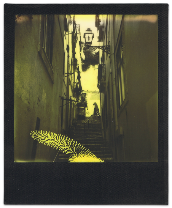 Lisbonne - Polaroid - Third Man Records by Impossible - Black Yellow - Nomade Aventure - Extension Cap Vert - ©jaimelemonde.fr - 2015 (8)
