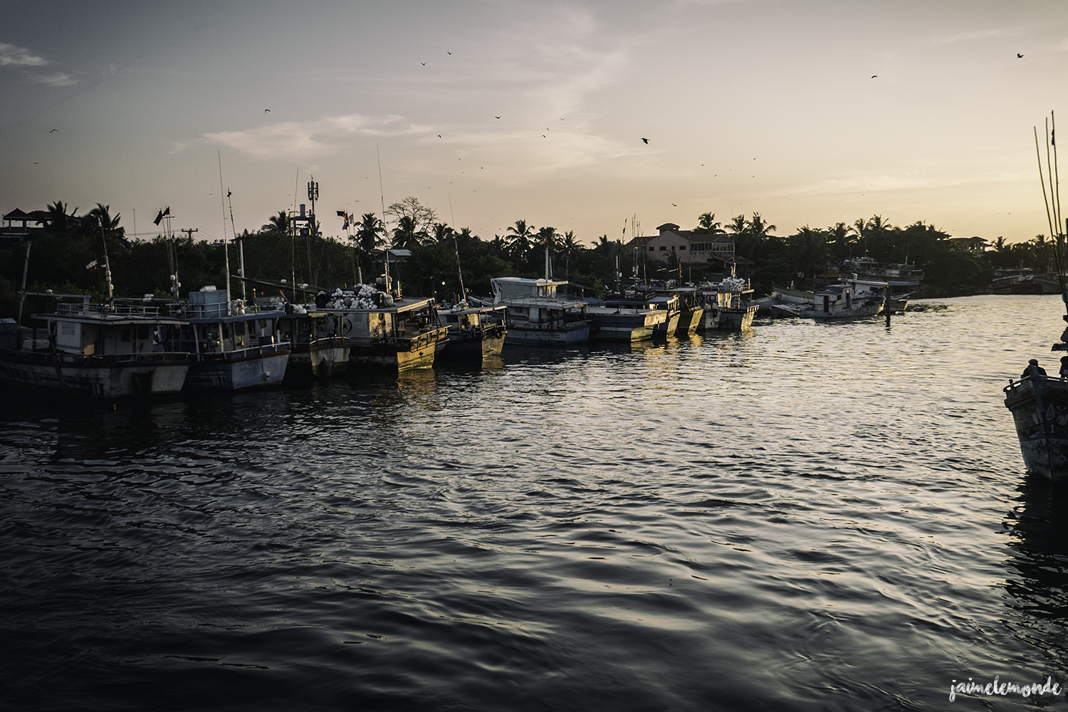 Negombo - Voyage au Sri Lanka (15)