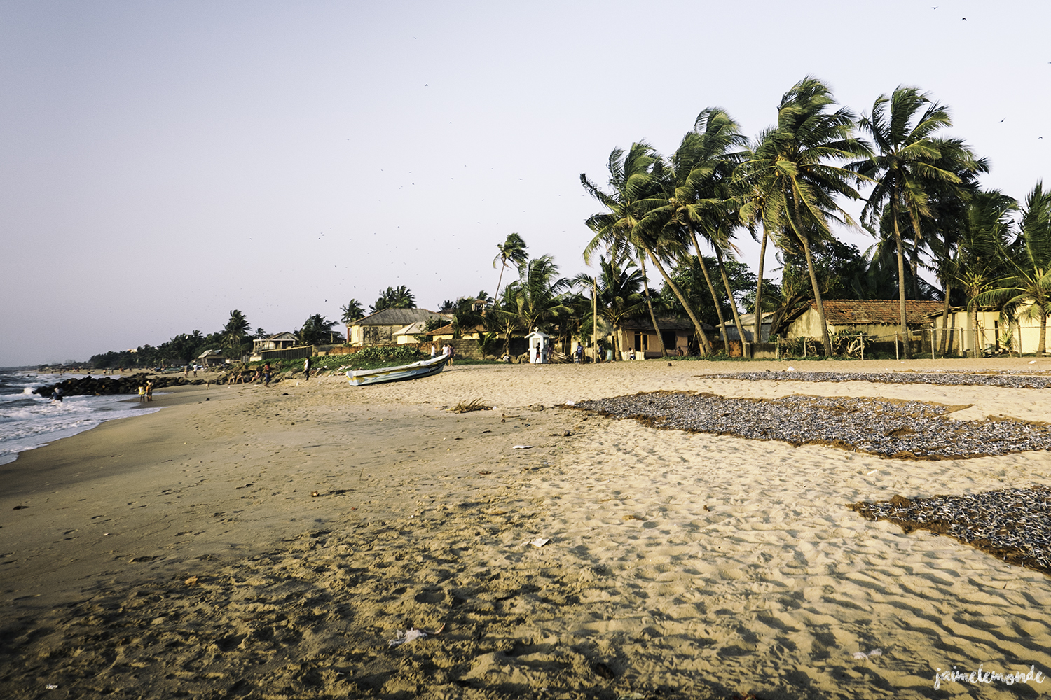 Negombo - Voyage au Sri Lanka (22)