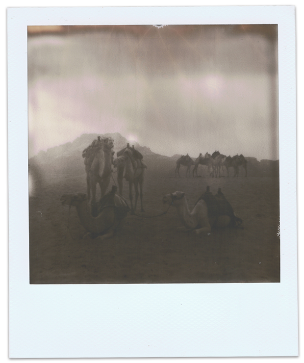 Polaroid 670AF - Film Impossible 600 - Jordan - Jordanie - ©jaimelemonde.fr - 2015 - Wadi Rum 3