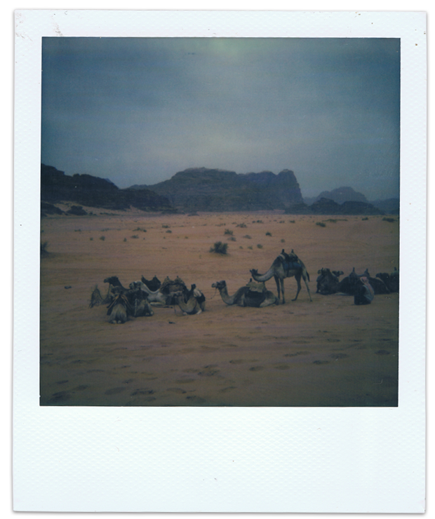 Polaroid 670AF - Film Impossible 600 - Jordan - Jordanie - ©jaimelemonde.fr - 2015 - Wadi Rum 9