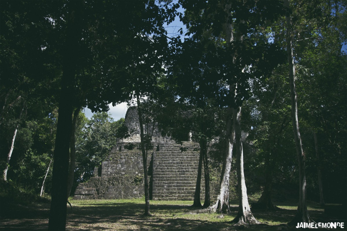 Pyramide maya à Tikal - Guatemala - ©jaimelemonde (3)