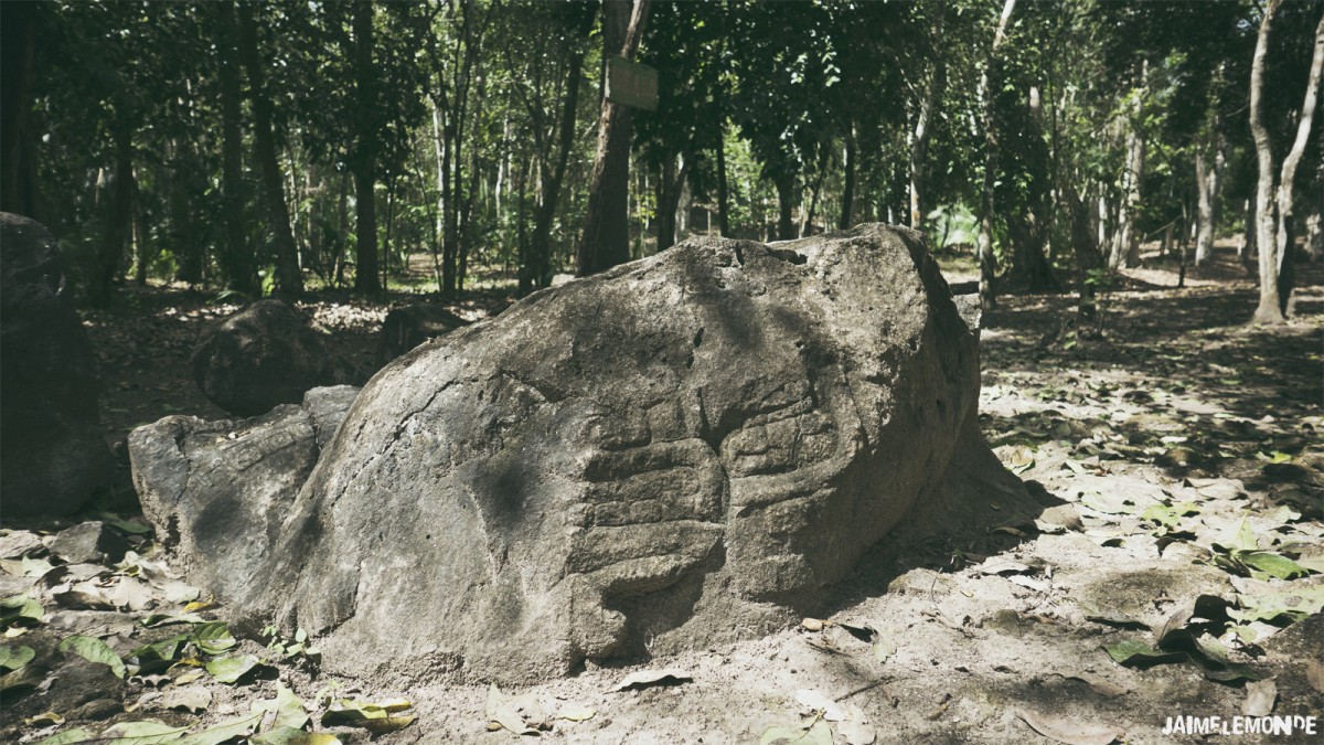 Stèle maya à Motul de San José - Guatemala - ©jaimelemonde (2)