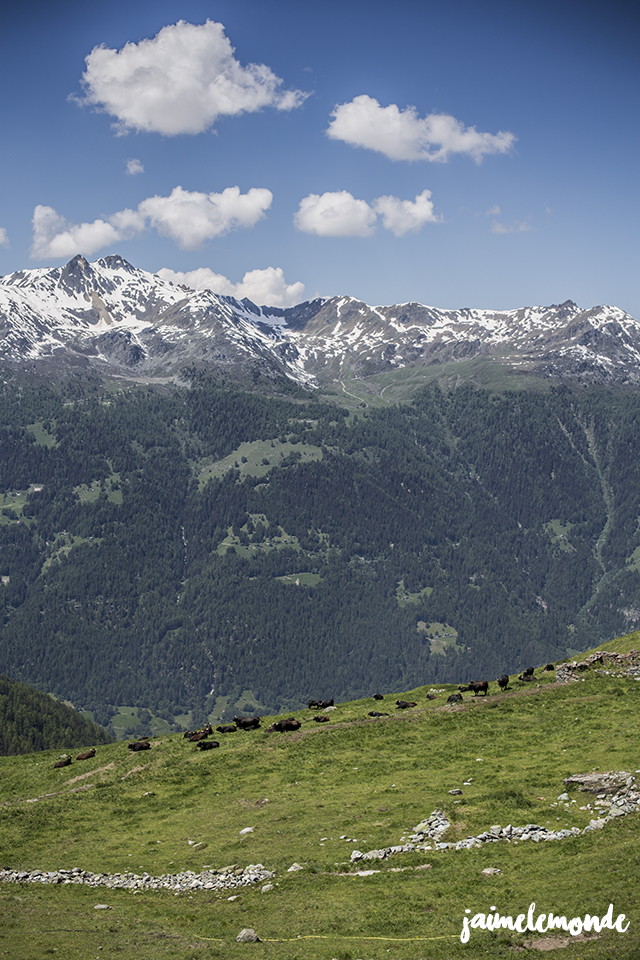 Valais 2016 - Suisse Tourisme - Allibert Trekking - ©Julien Grenet - jaimelemonde (14)
