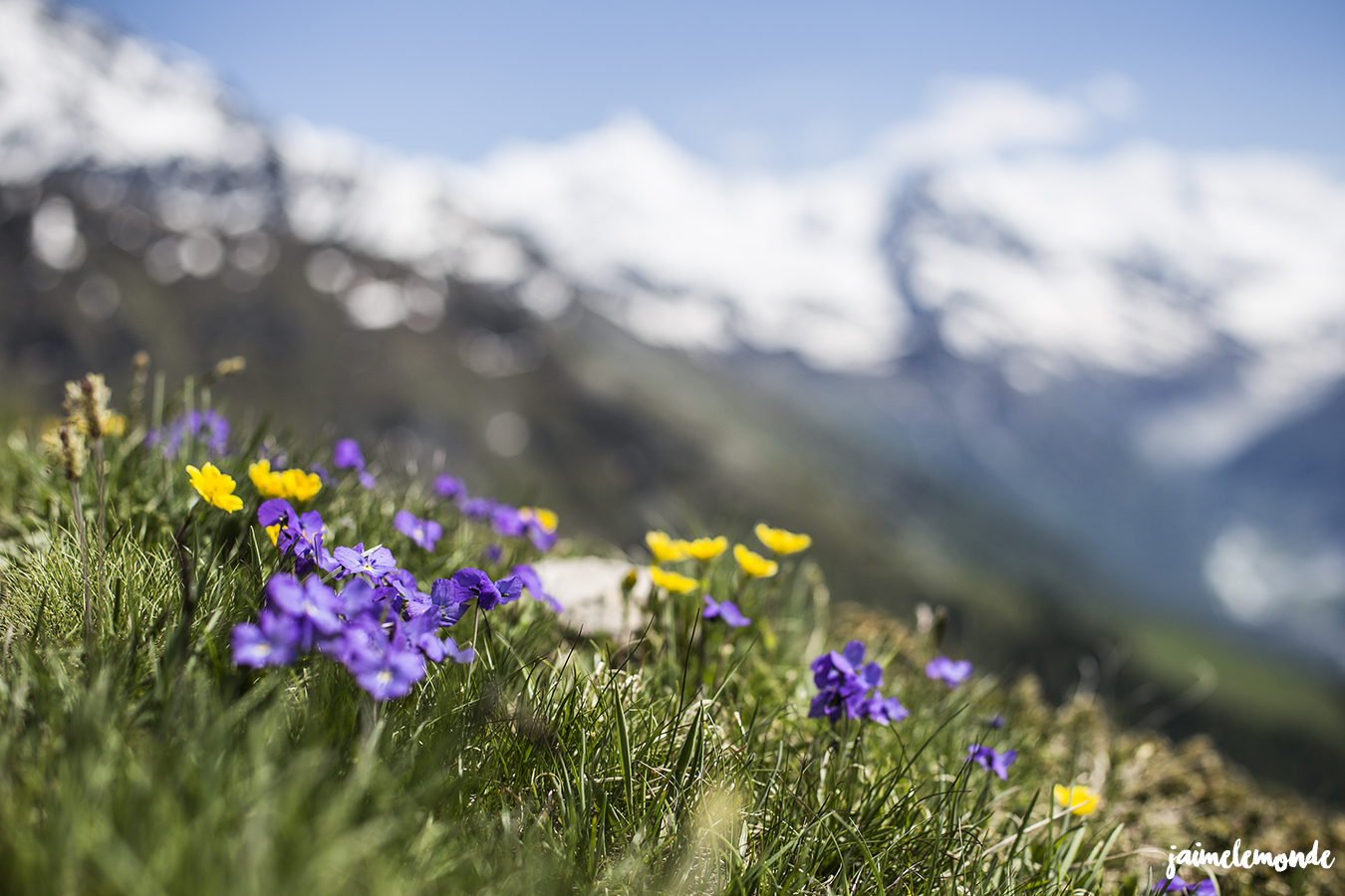 Valais 2016 - Suisse Tourisme - Allibert Trekking - ©Julien Grenet - jaimelemonde (24)