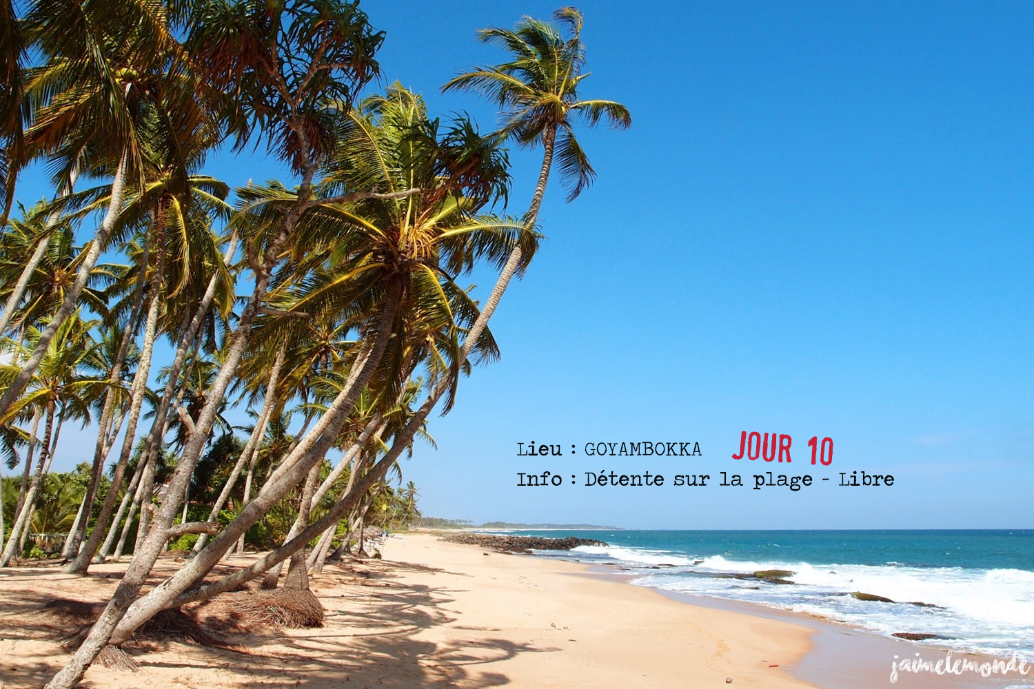 Voyage Sri Lanka - Itinéraire Jour 10 - 1 Goyambokka - Journée libre sur la plage - ©jaimelemonde