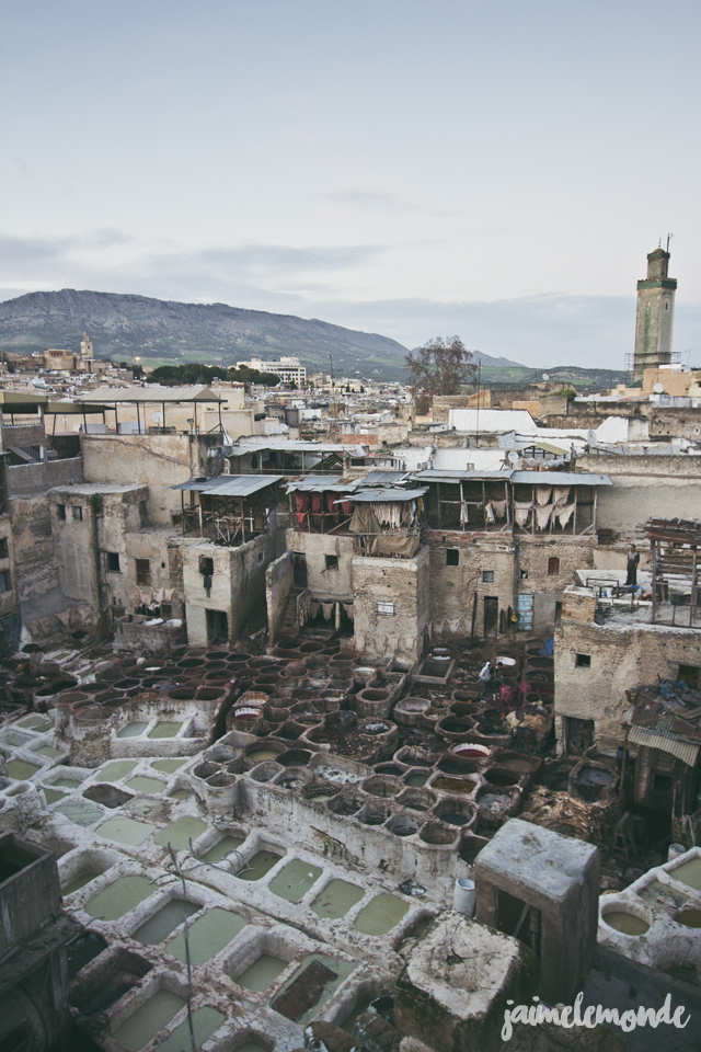 blog voyage - 50 photos à Fès - Maroc - ©jaimelemonde (2)