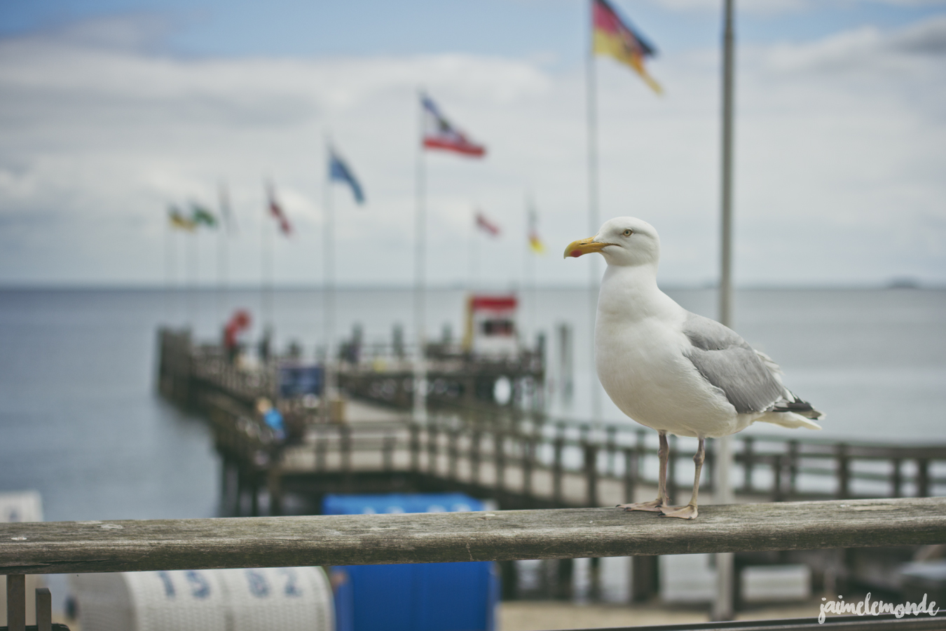 blog voyage - 50 photos en mer des Wadden - Allemagne - ©jaimelemonde (39)