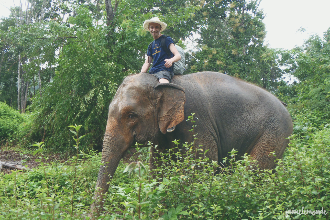 blog voyage - 50 photos souvenirs de Thaïlande - ©jaimelemonde (27)