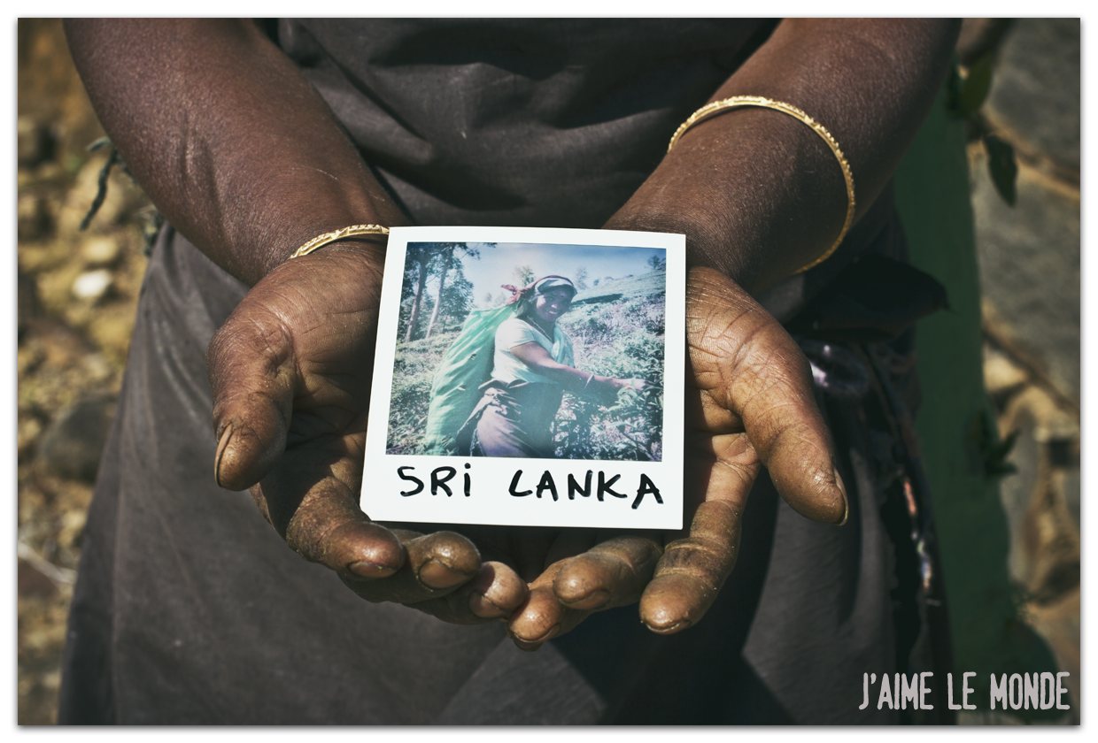 des polas et des mains - 1 - sri lanka 2012 (6)