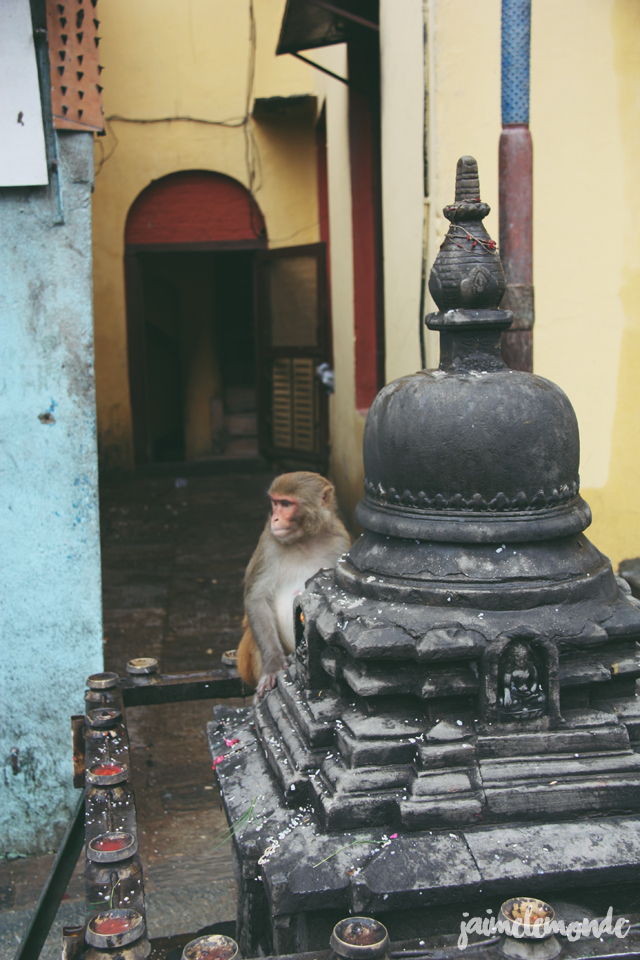 Blog voyage - 50 photos au Népal - ©jaimelemonde (28)