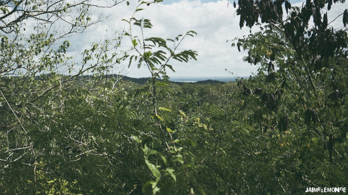 En haut de la pyramide, vue sur le lac Peten Itza - Motul de San José - Guatemala - ©jaimelemonde