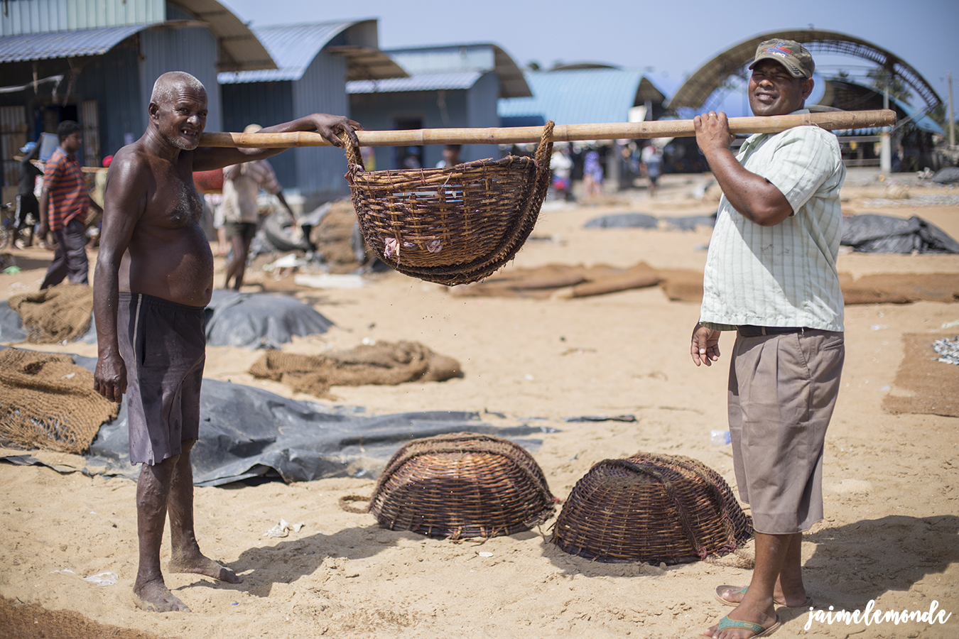 negombo-marche-aux-poissons-voyage-au-sri-lanka-jaimelemonde-6