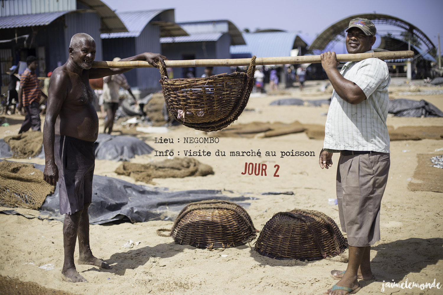 Voyage Sri Lanka - Itinéraire Jour 2 - 2 Negombo - Marché aux poissons séchés - ©jaimelemonde