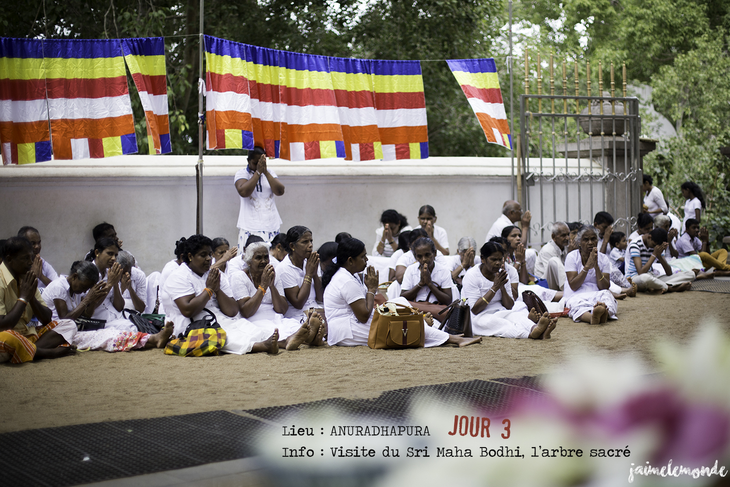 Voyage Sri Lanka - Itinéraire Jour 3 - 3 Anuradhapura - Visite du Sri Maha Bodhi - ©jaimelemonde